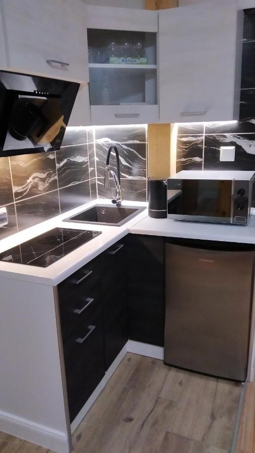 Apartamenty U Iwony Centrum Miasta Blisko Parku Zdrojowego Кудова-Здруй Екстер'єр фото