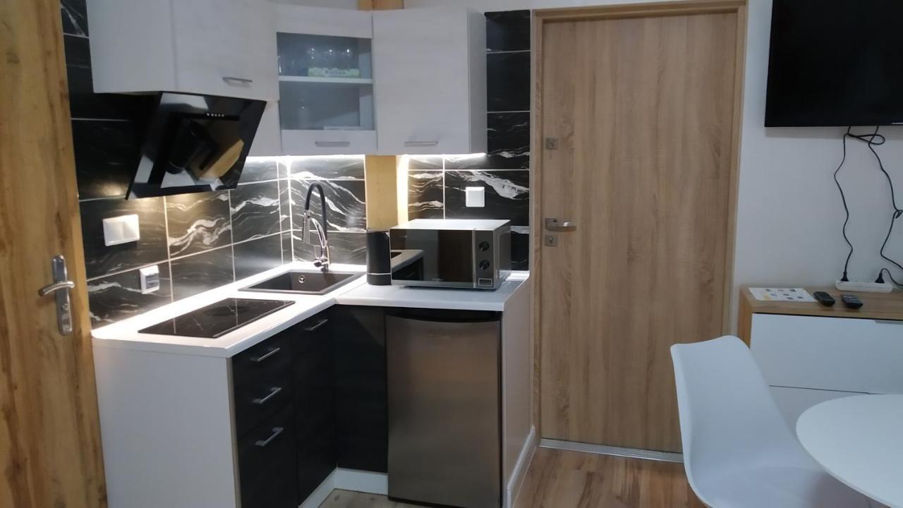 Apartamenty U Iwony Centrum Miasta Blisko Parku Zdrojowego Кудова-Здруй Екстер'єр фото