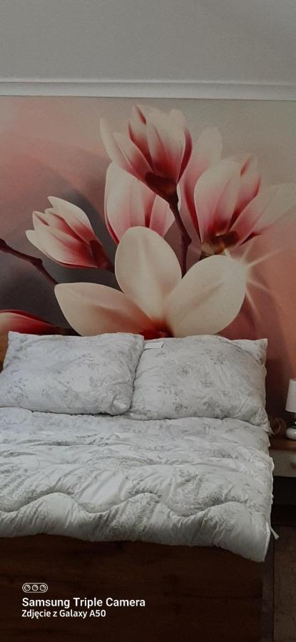 Apartamenty U Iwony Centrum Miasta Blisko Parku Zdrojowego Кудова-Здруй Екстер'єр фото